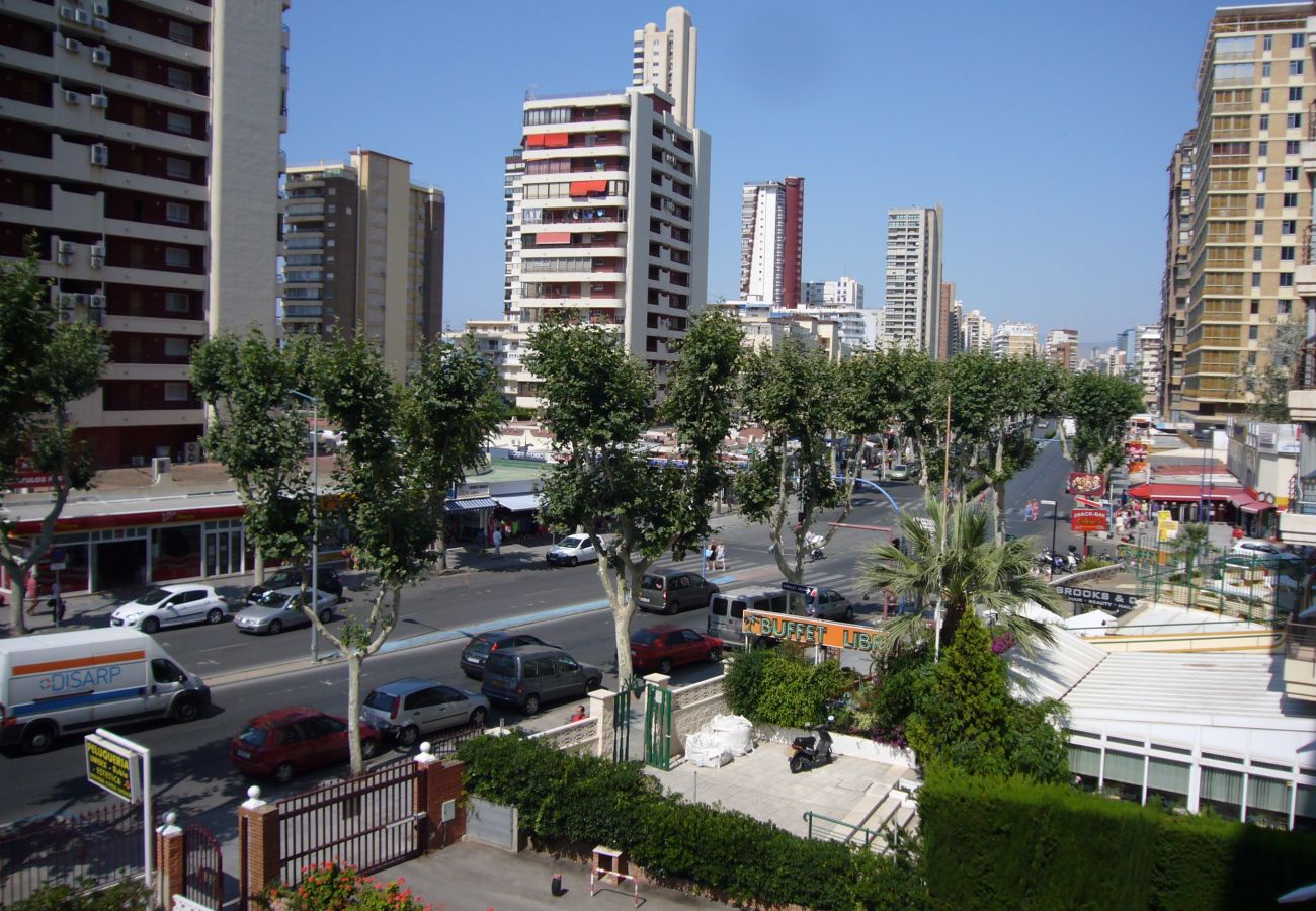 Apartment in Benidorm - EDIMAR 33