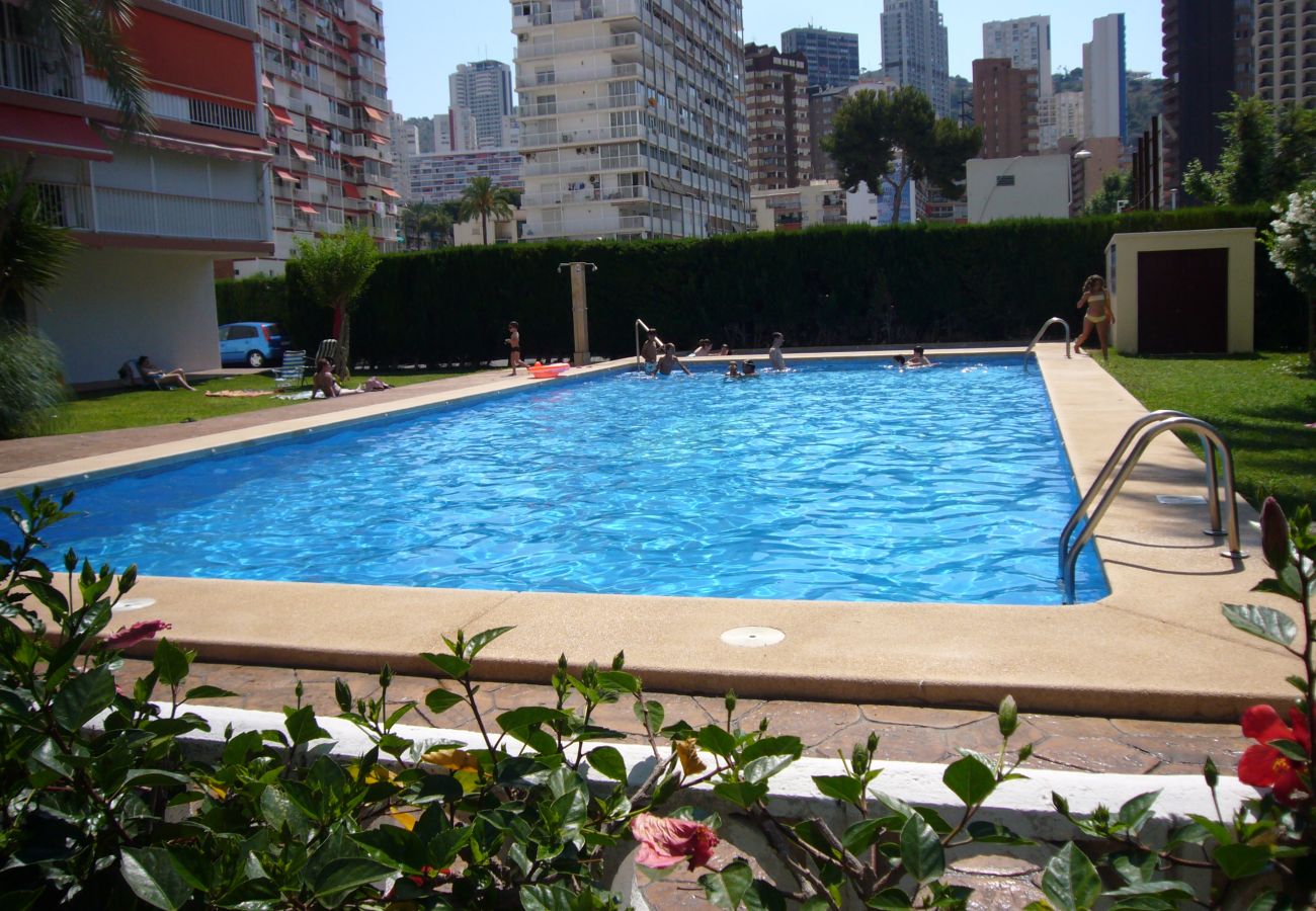 Apartment in Benidorm - EDIMAR 33