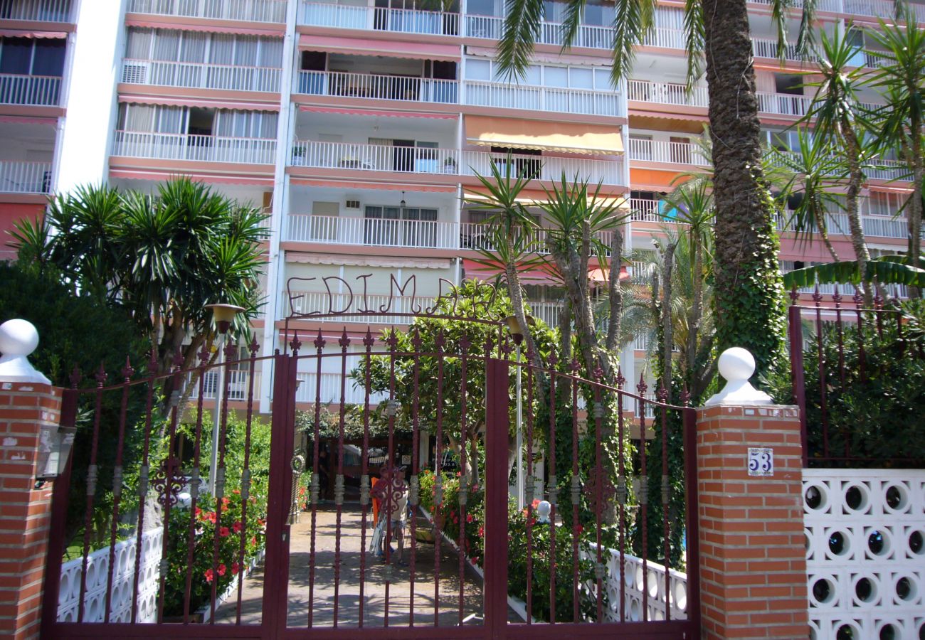 Apartment in Benidorm - EDIMAR 33