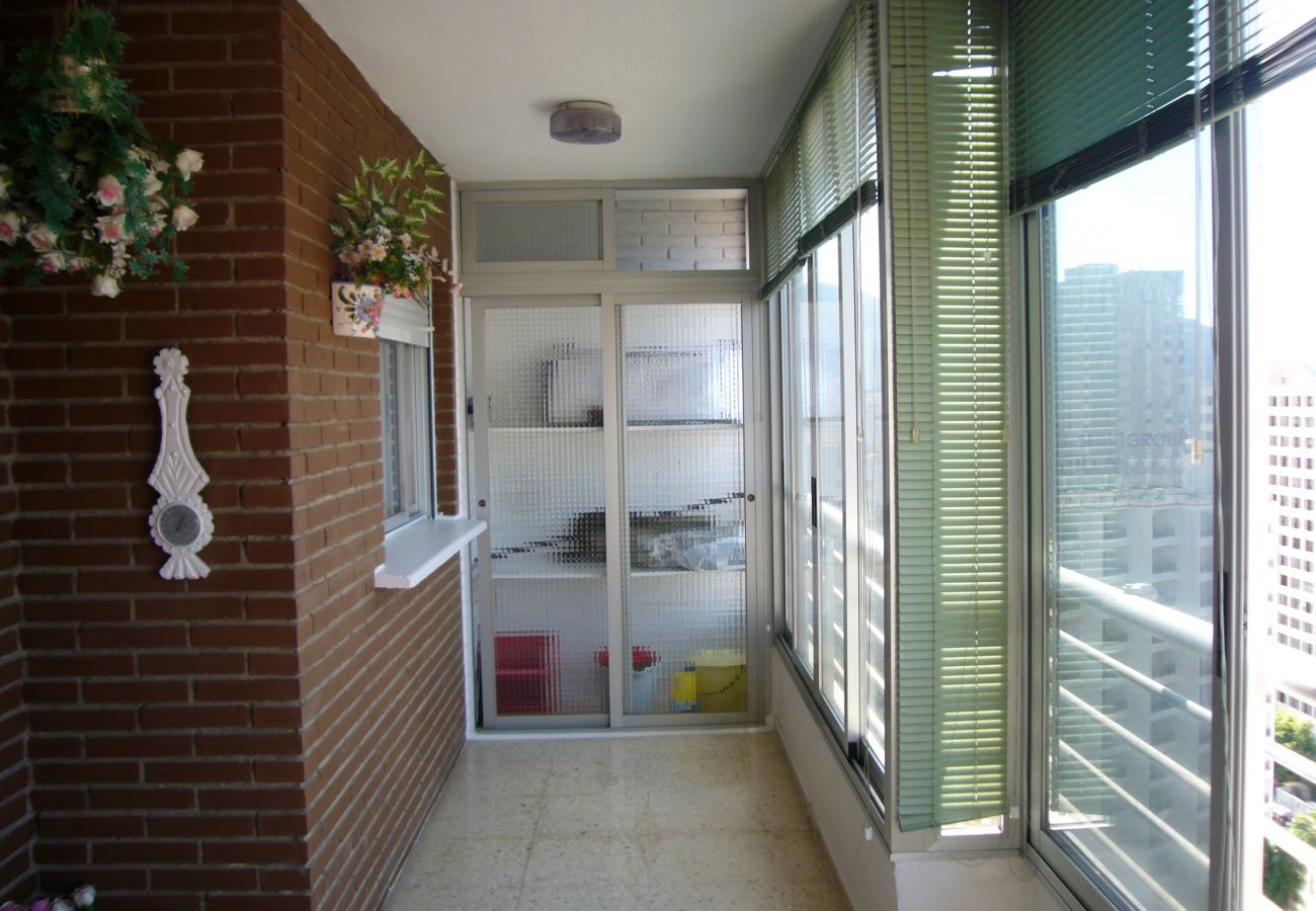 Apartment in Benidorm - LA PINTA 15D