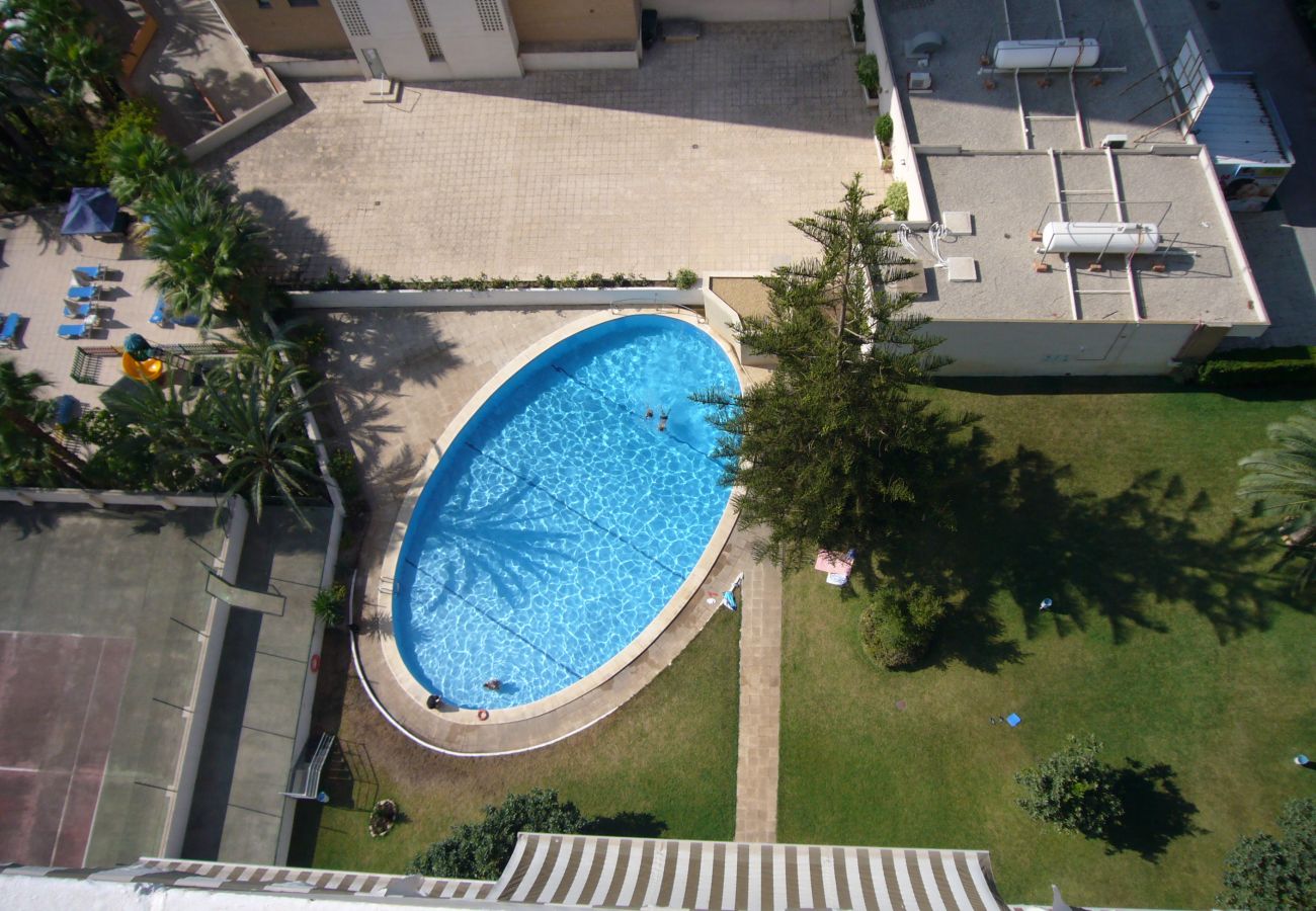 Apartment in Benidorm - LA PINTA 15D