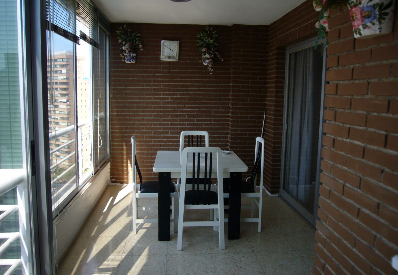 Apartment in Benidorm - LA PINTA 15D