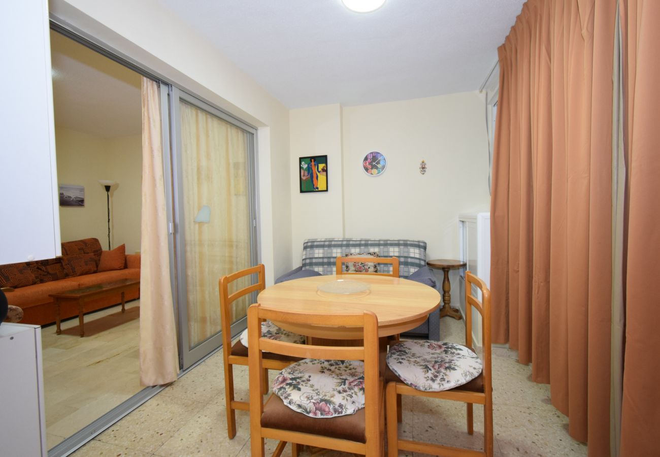 Apartment in Benidorm - LA PINTA 15D