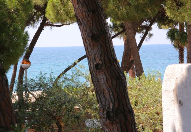 Villa in Cambrils - VILLA SA CALMA