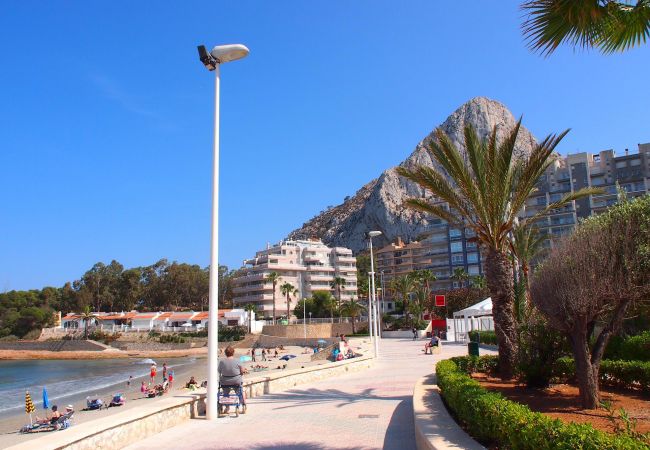 The apartments have excellent views of the sea and the town.