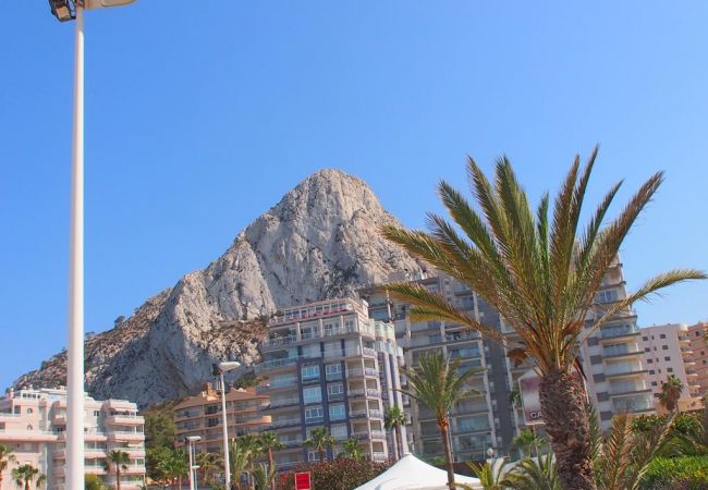 The apartments have excellent views of the sea and the town.