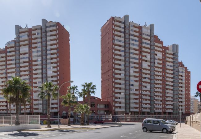 Apartment in Cullera - FERROBUS 1, BQ-1, ESC-1,18º-45 + PK 18 (Duplex)