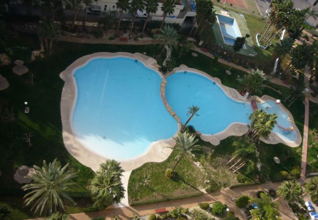  in Benidorm - GEMELOS 22 13C3