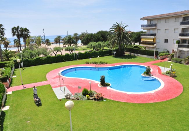 Apartment in Cambrils - OLIMPIC BAJOS 19