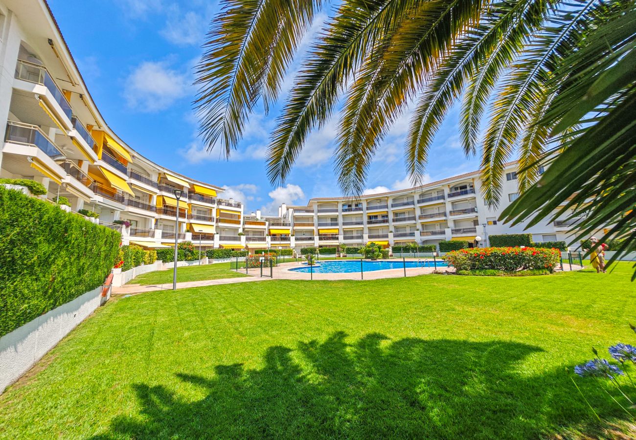 Apartment in Cambrils - OLIMPIC BAJOS 19