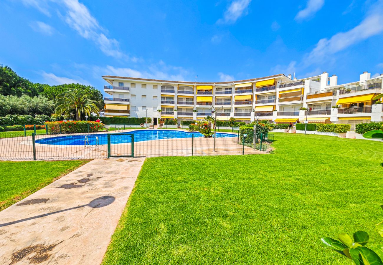 Apartment in Cambrils - OLIMPIC BAJOS 19