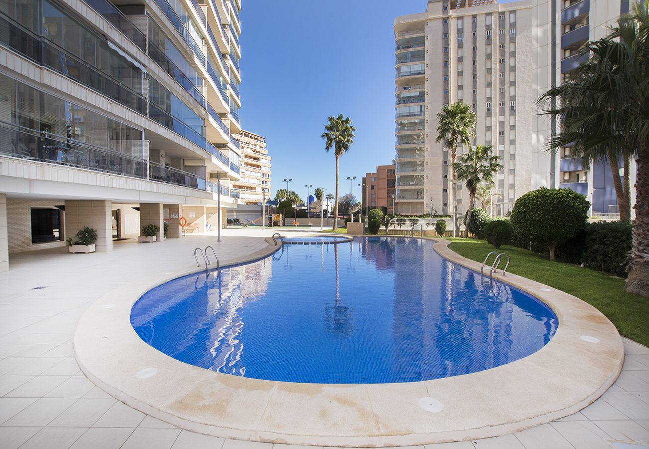 Apartment in Calpe / Calp - A66 BAHIA DEL SOL 13A