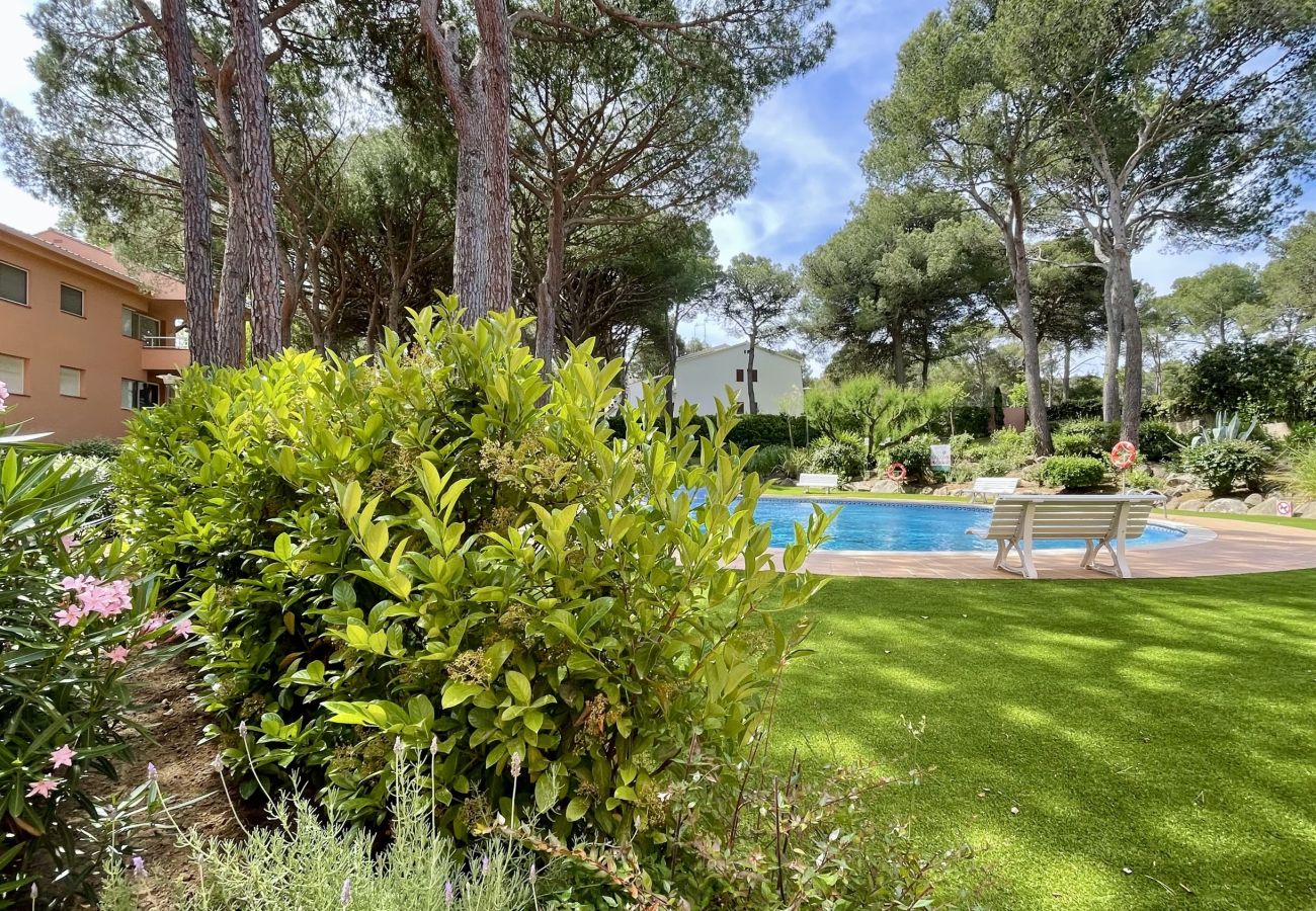 Apartment in Pals - PUIG SA GUILLA I C B-3