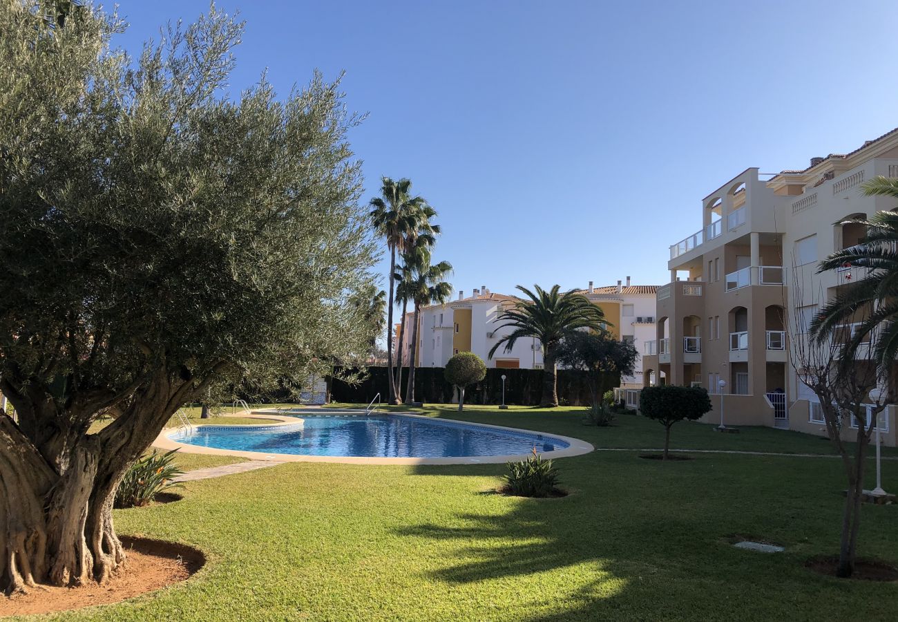 Apartment in Denia - EL HORT A-5