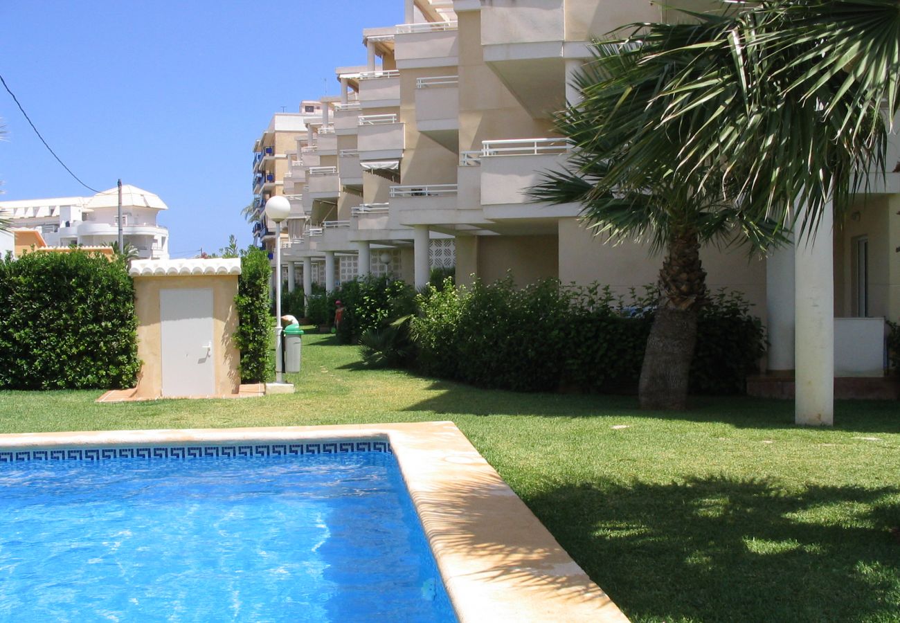 Apartment in Denia - EL FARO 11