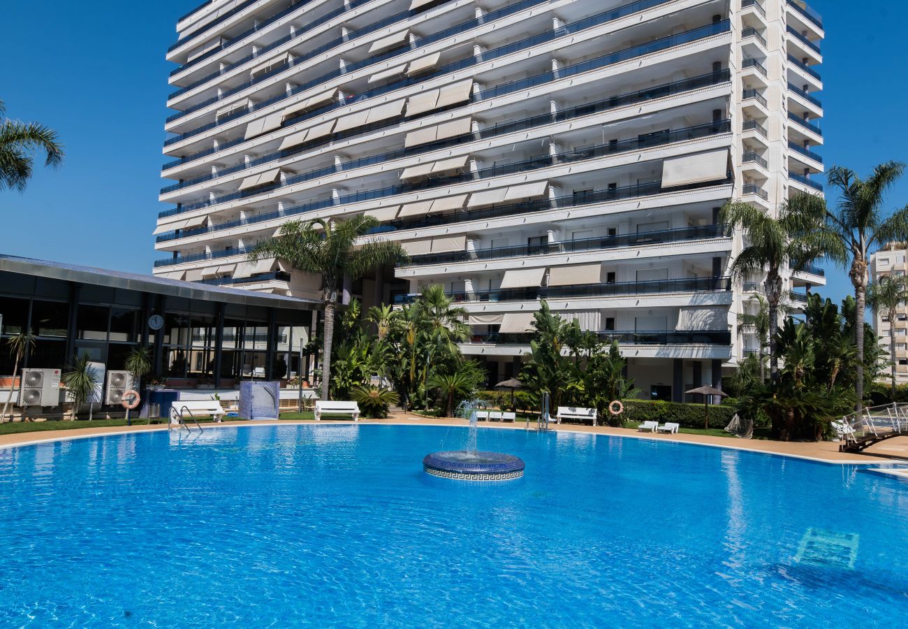 Apartment in Playa de Gandía - 91. AG EDEN RESORT 11/3/4