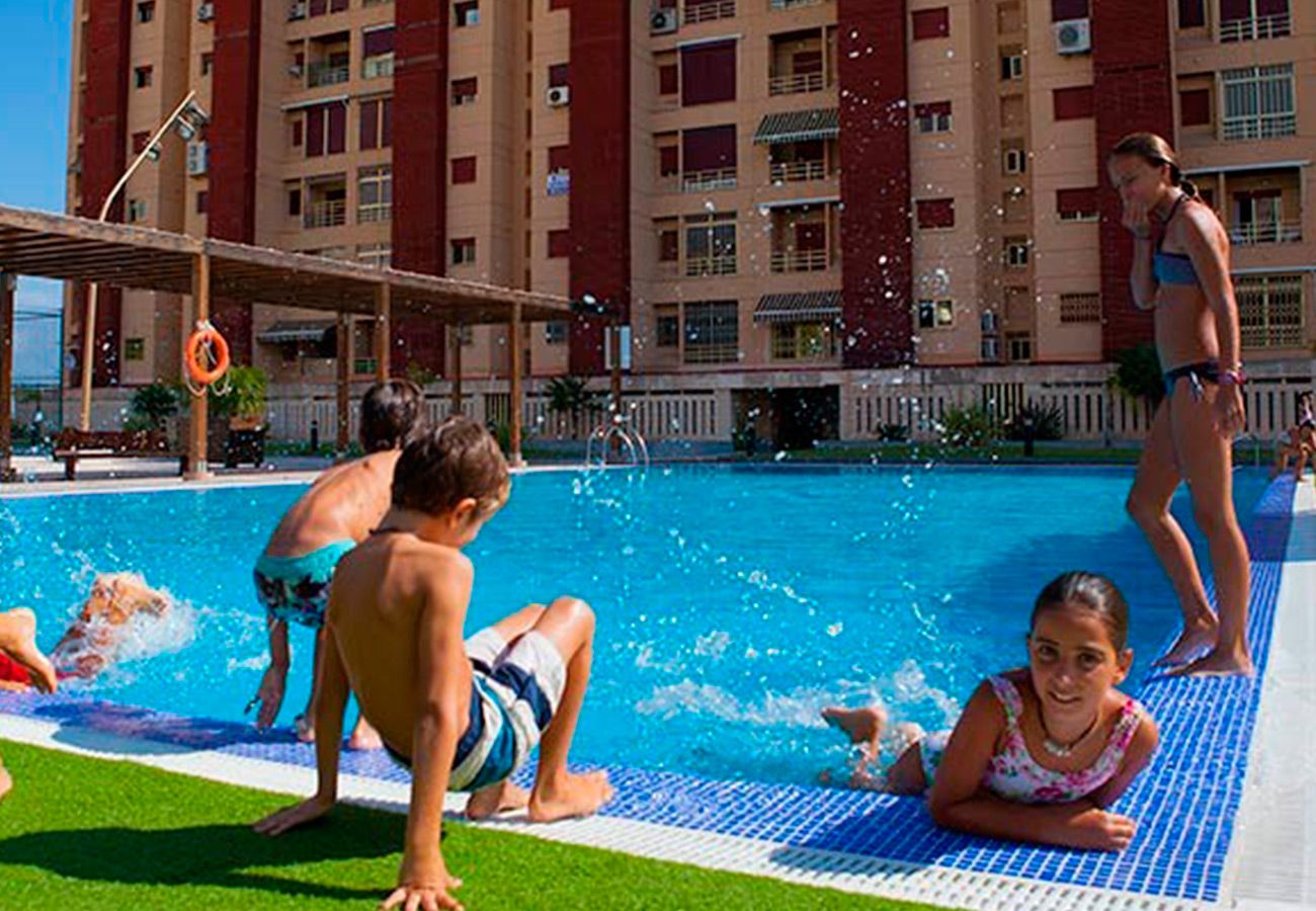 Apartment in Playa de Gandía - 02. AG BERMUDAS 6H PREMIUM