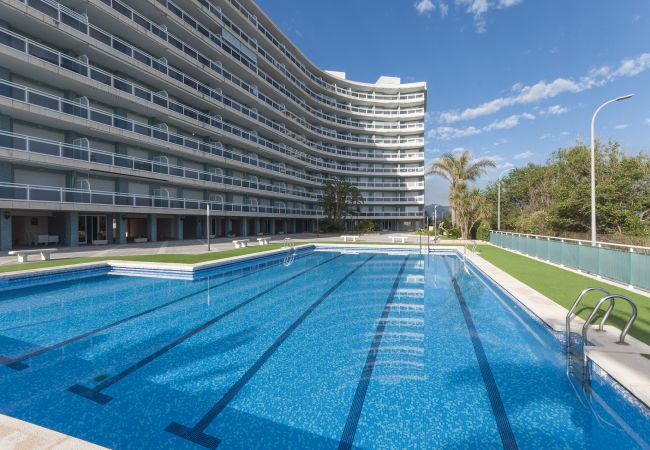 Apartment in Playa de Gandía - 39. AG AIGUABLAVA 7-1