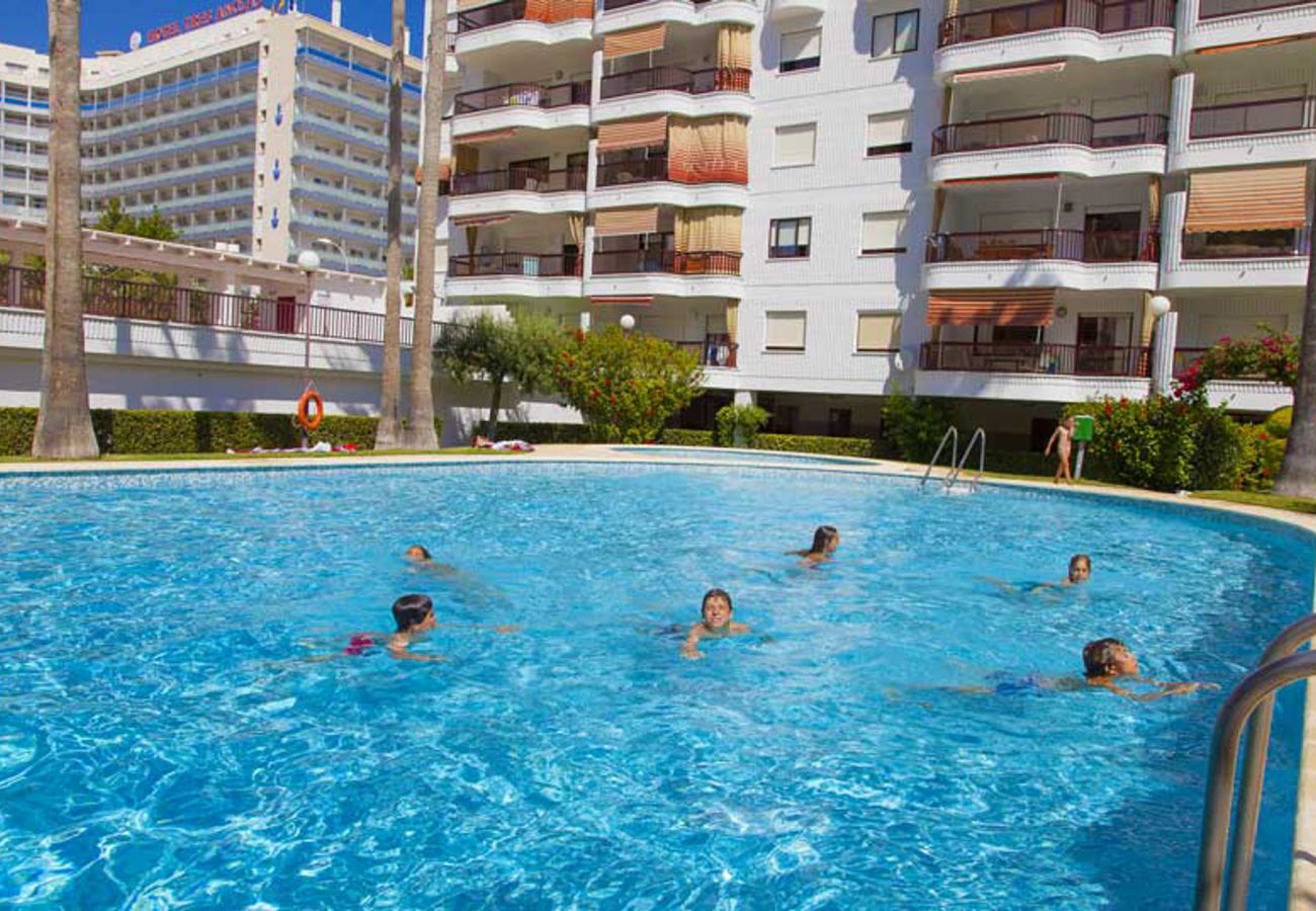 Apartment in Playa de Gandía - 44. AG SALINAS 7
