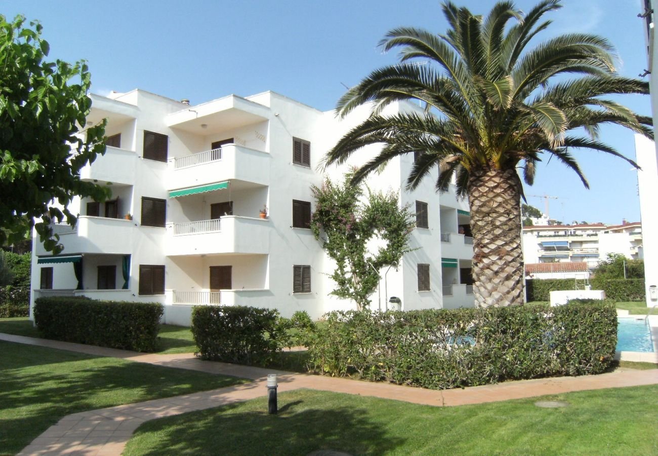 Apartment in L'Escala - CALA MONTGO 33