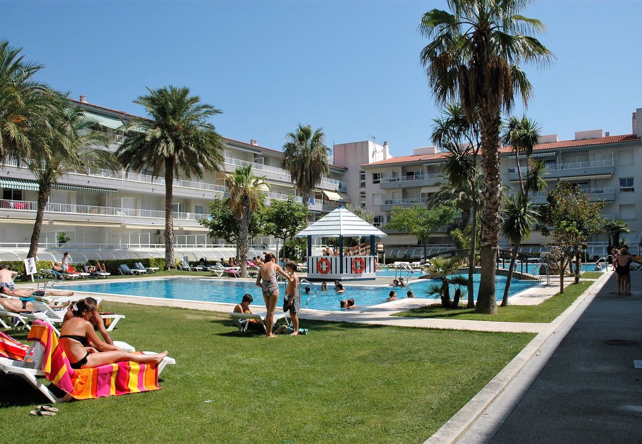 Apartment in Estartit - ILLA MAR DOR 239