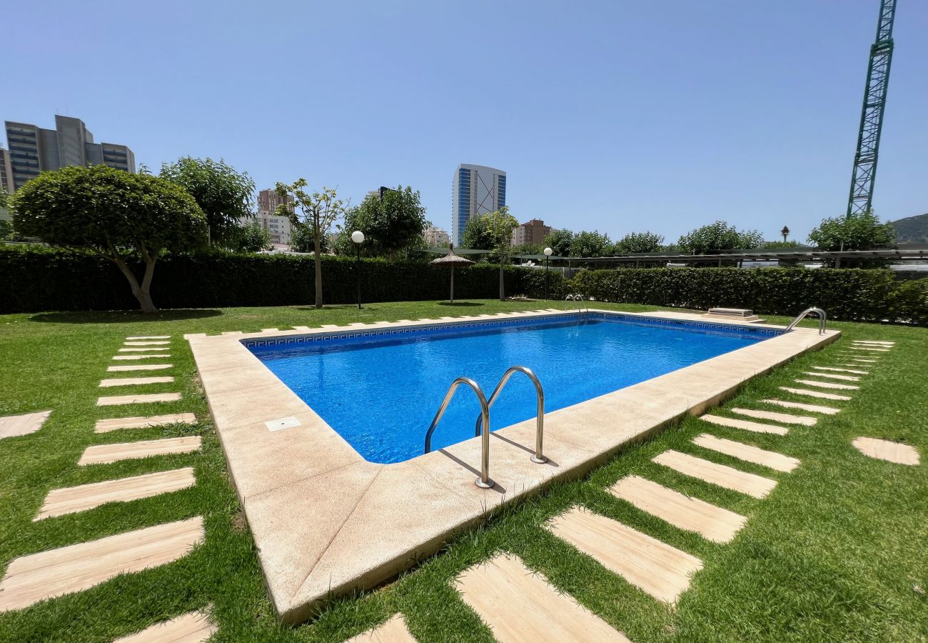 Apartment in Calpe / Calp - Alq 105 Estrella III