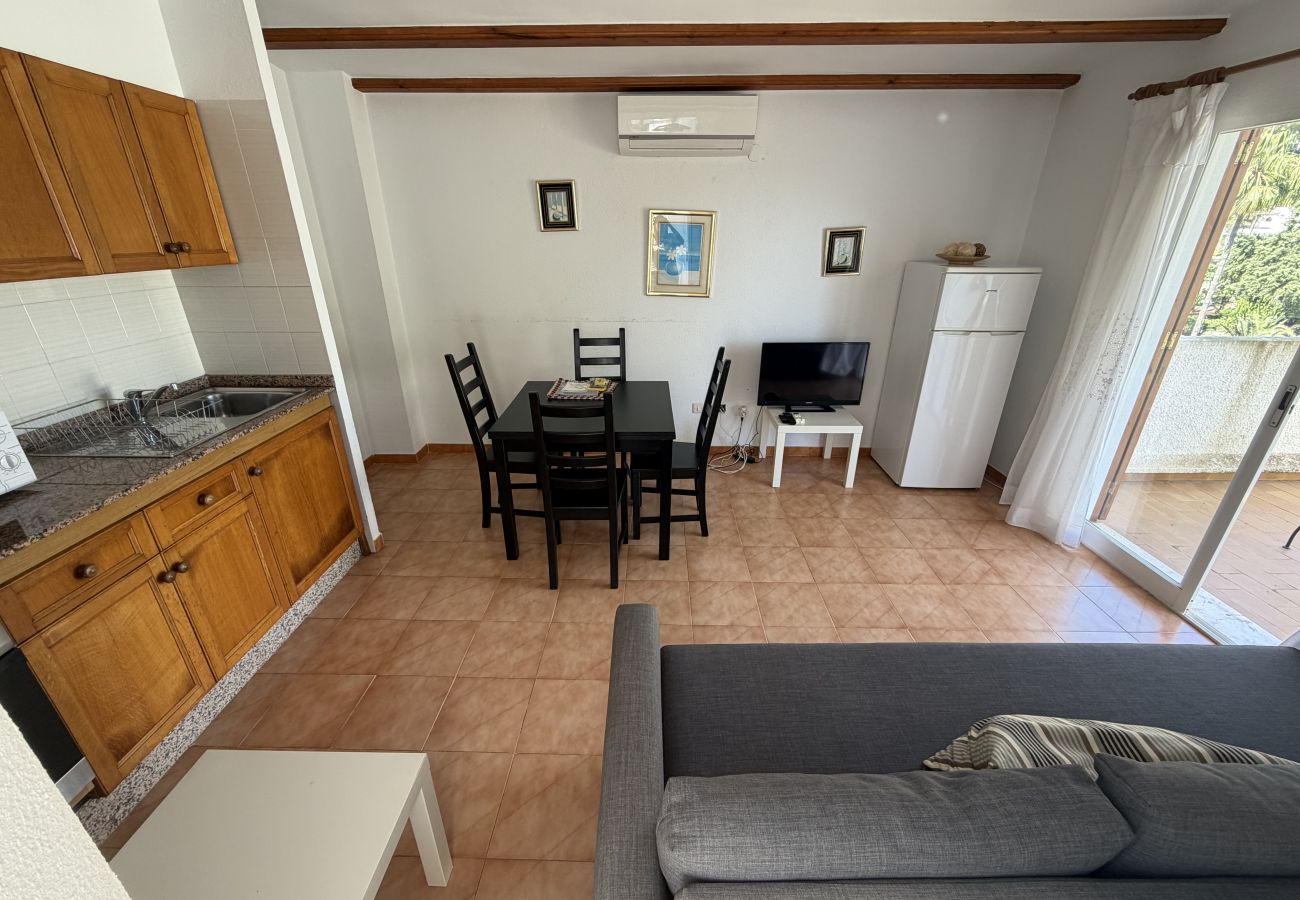 Apartment in Pedreguer - BUGANVILLA 203