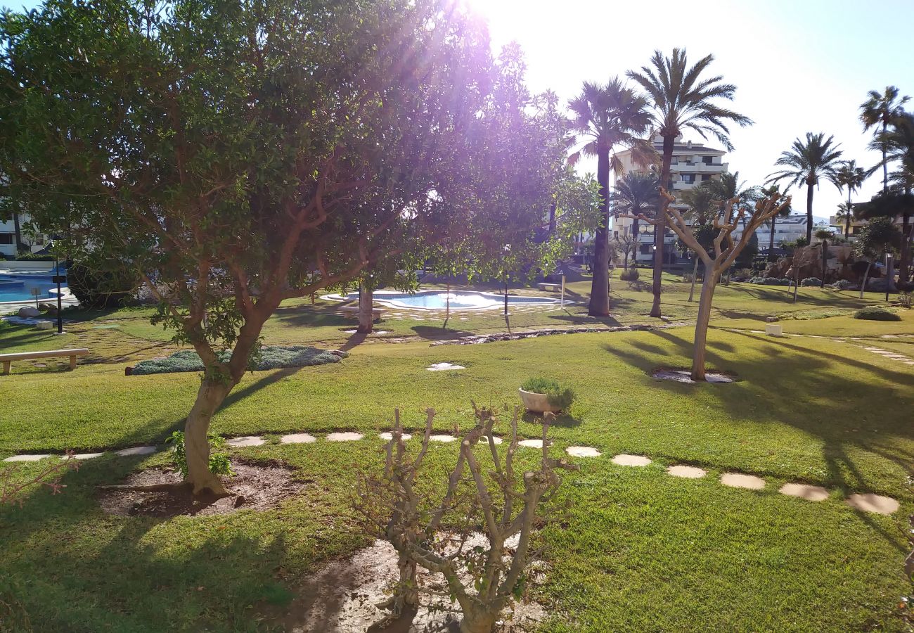 Apartment in Denia - PLAYA GRANDE C-1