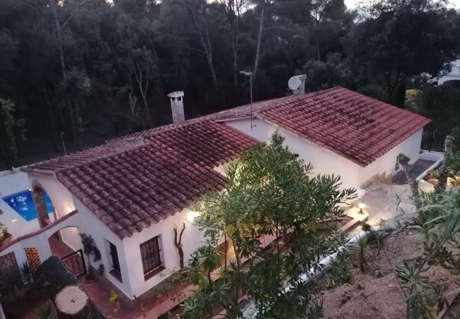 Villa in Pals - MAS TOMASI 525 A