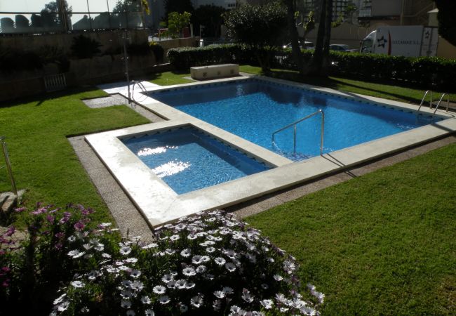  in Benidorm - EDEN PARK 5A (5 personas)
