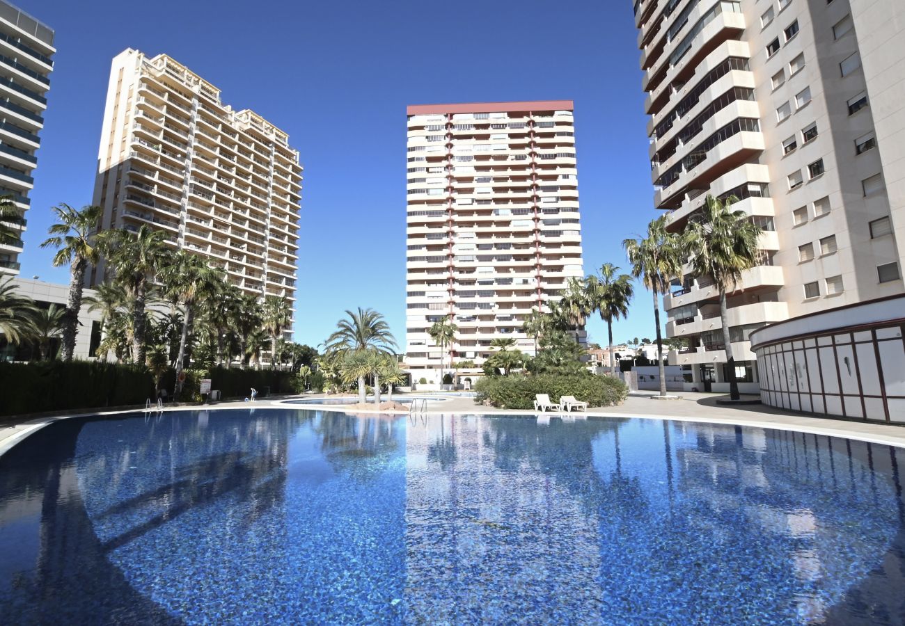 Apartment in Calpe / Calp - A54 CORAL BEACH 2 15C