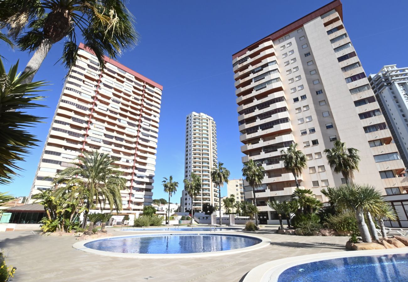 Apartment in Calpe / Calp - A54 CORAL BEACH 2 15C