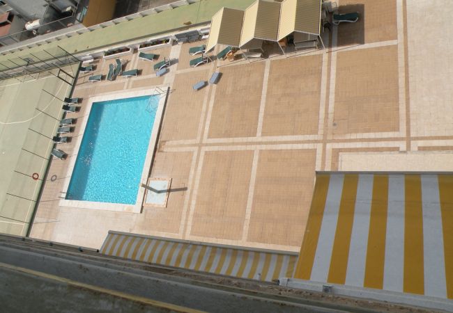  in Benidorm - PRINCIPADO CENTRO 7 A