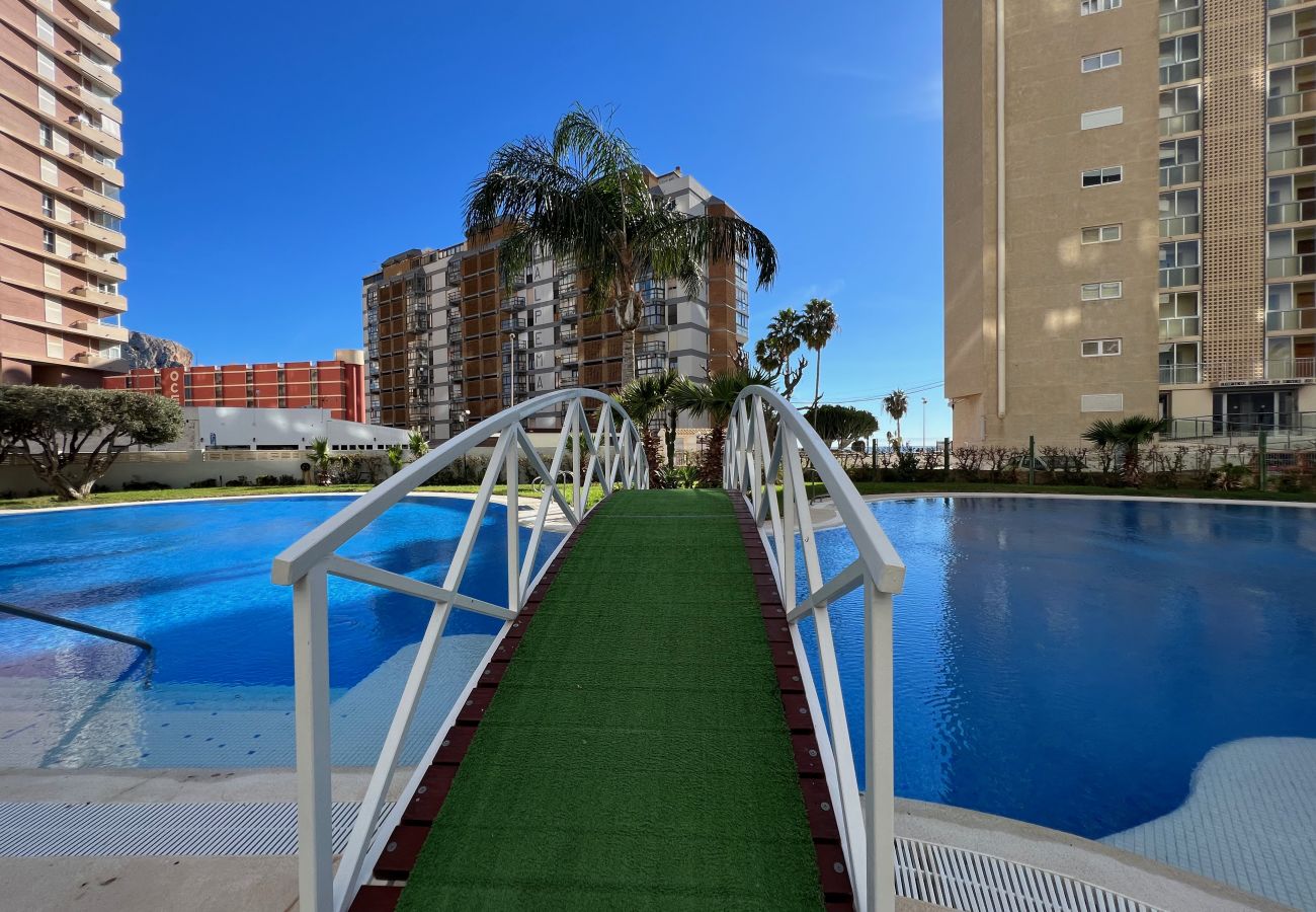 Apartment in Calpe / Calp - Alq 138 Apolo 14 Apartment