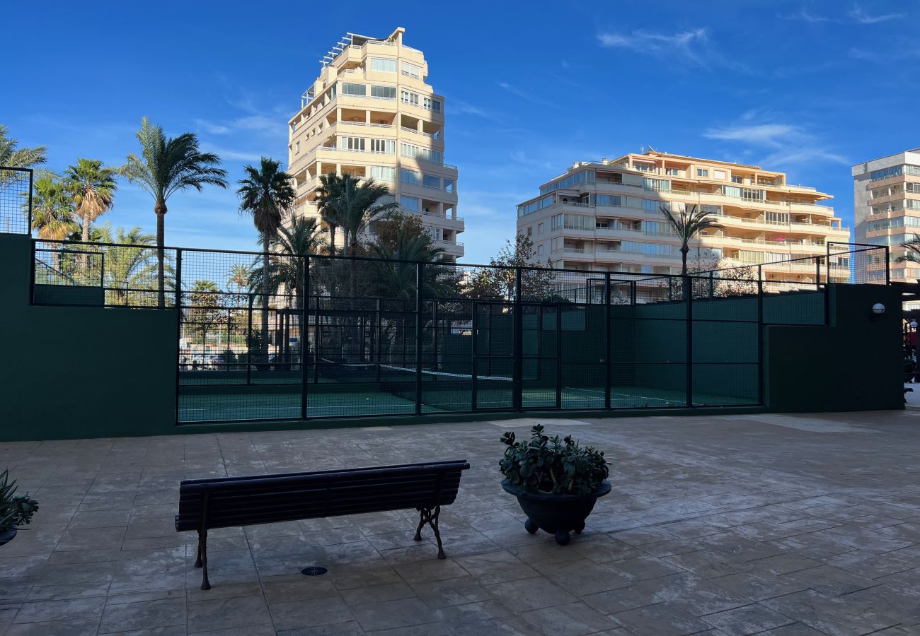 Apartment in Calpe / Calp - Alq 138 Apolo 14 Apartment