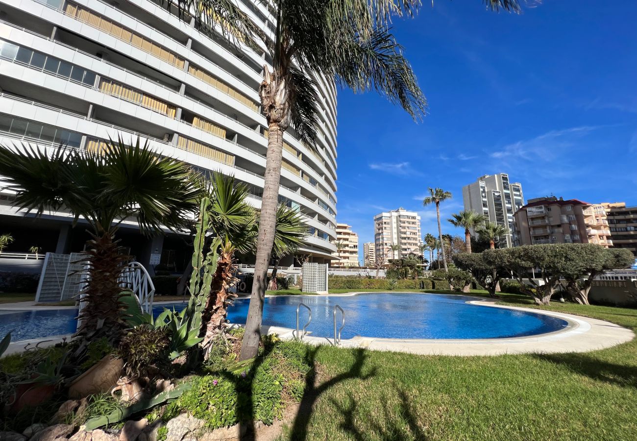 Apartment in Calpe / Calp - Alq 138 Apolo 14 Apartment
