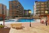 Apartment in Playa de Gandía - 1.Infante E8-7º Apartment in Playa de Gandía - 1.Infante E8-7º