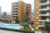 Apartment in Xeraco Playa - La Marina II 3ºA Apartment in Xeraco Playa - La Marina II 3ºA