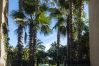 Apartment in Xeraco Playa - Dorasal Bl. A esc. IV 1º pta. 6 Apartment in Xeraco Playa - Dorasal Bl. A esc. IV 1º pta. 6