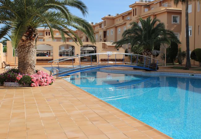 Apartment in Denia - 187 Palm Beach, 72