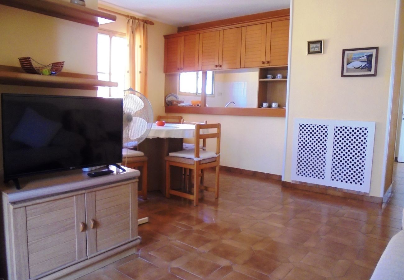 Apartment in Peñiscola - La Palmera Nº 12