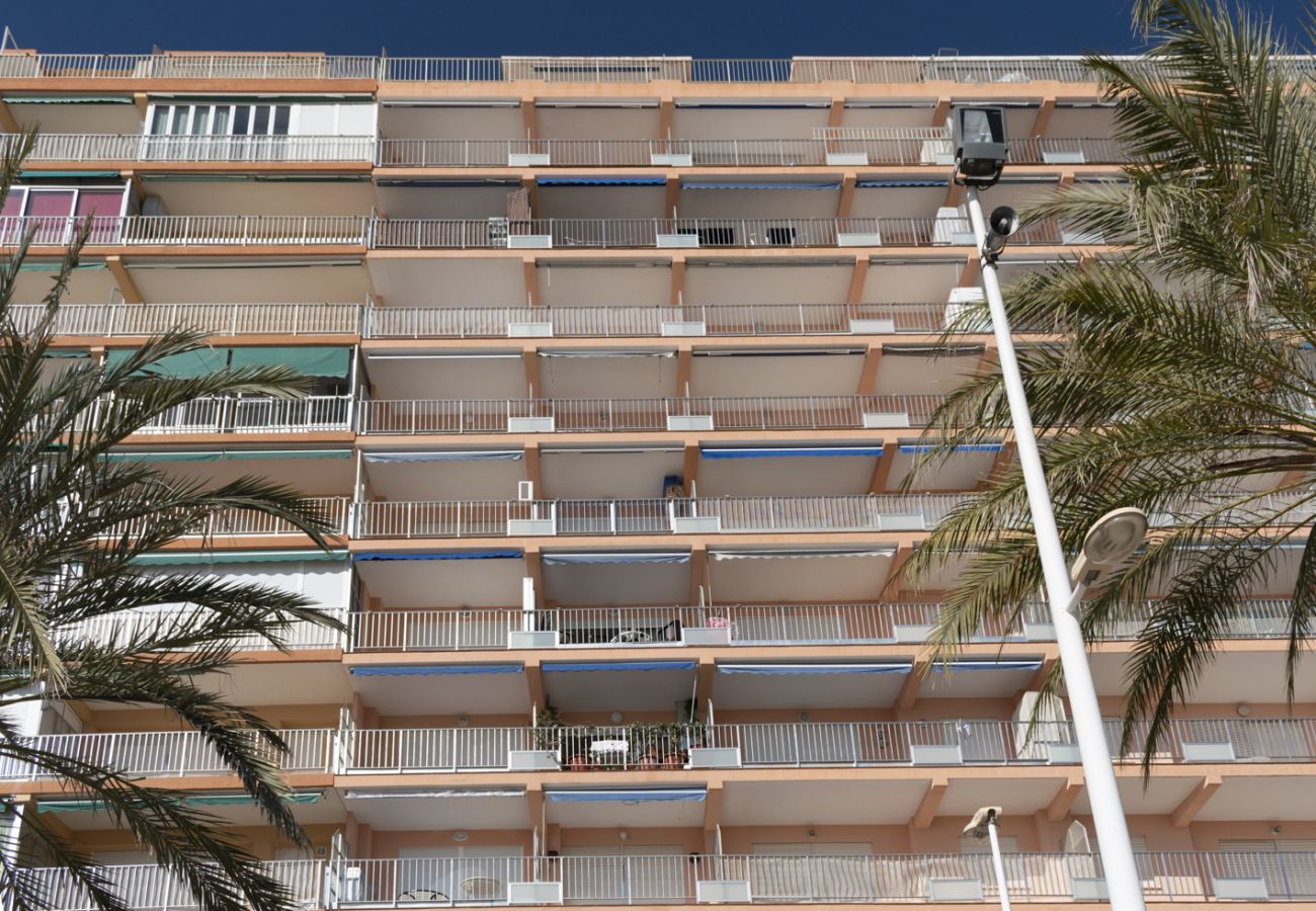 Apartment in Cullera - APOLO, 5º-30