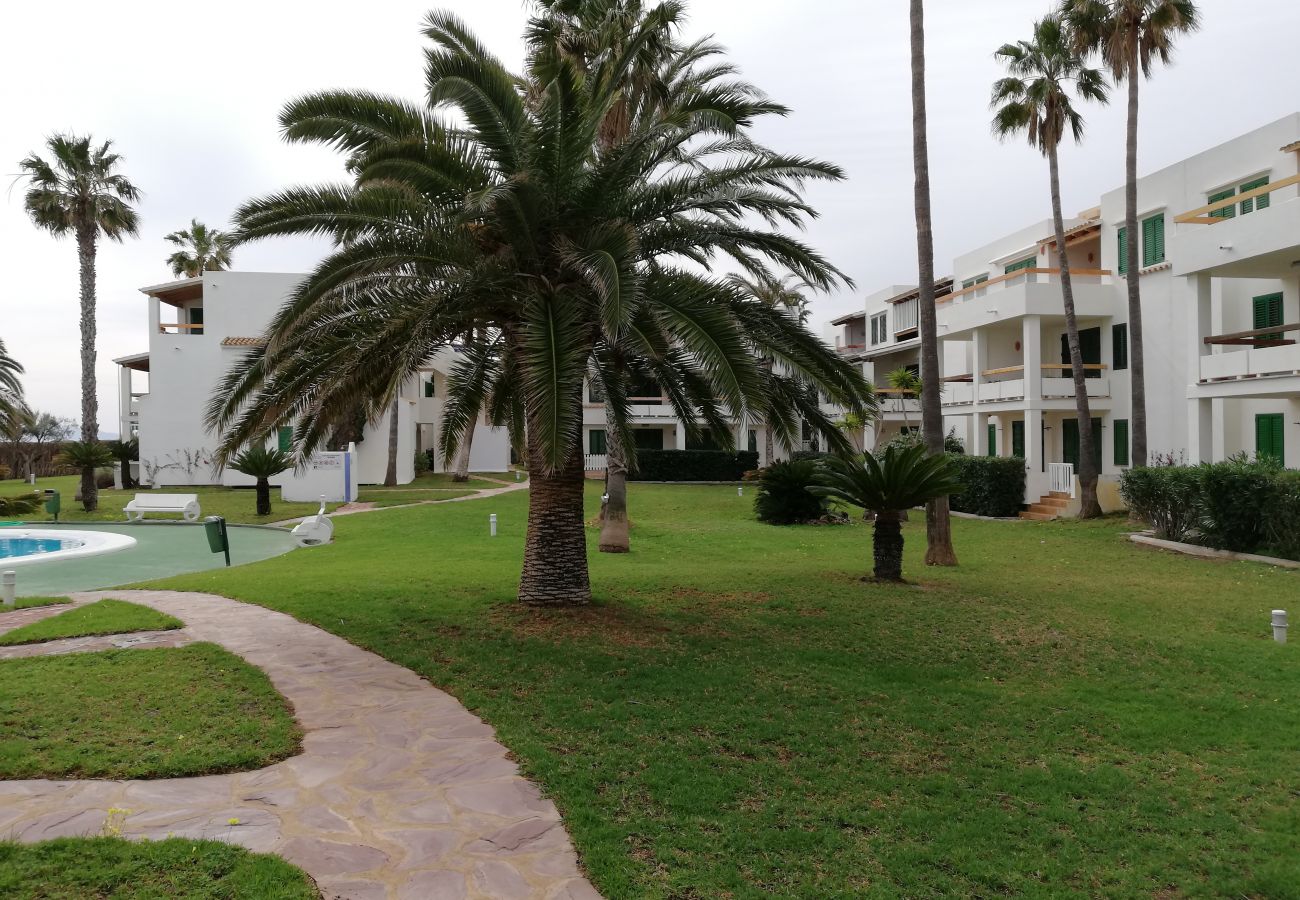 Garden views