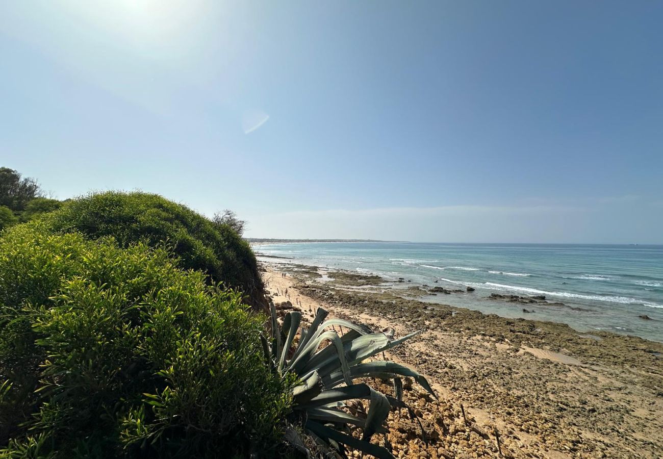 Apartment in Chiclana de la Frontera - PUNTO MÁGICO-Pueblo Marinero R029