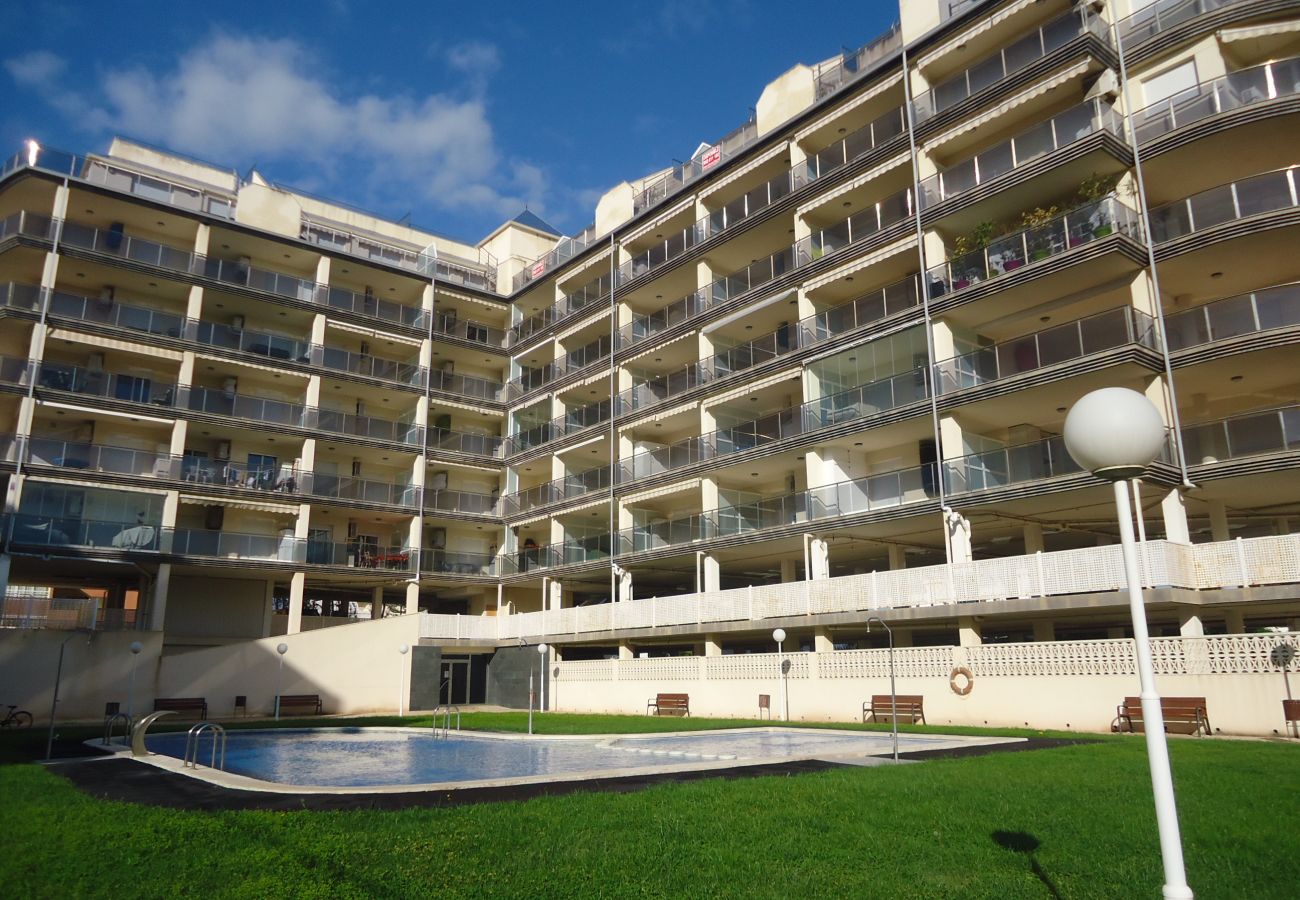 Apartment in Peñiscola - P. Maritimo 50 Frontal LEK