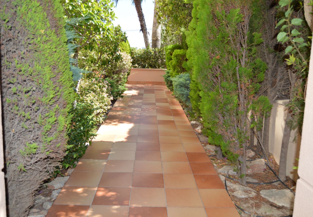 Apartment in Calpe / Calp - Alq 162 Oasis en Calpe