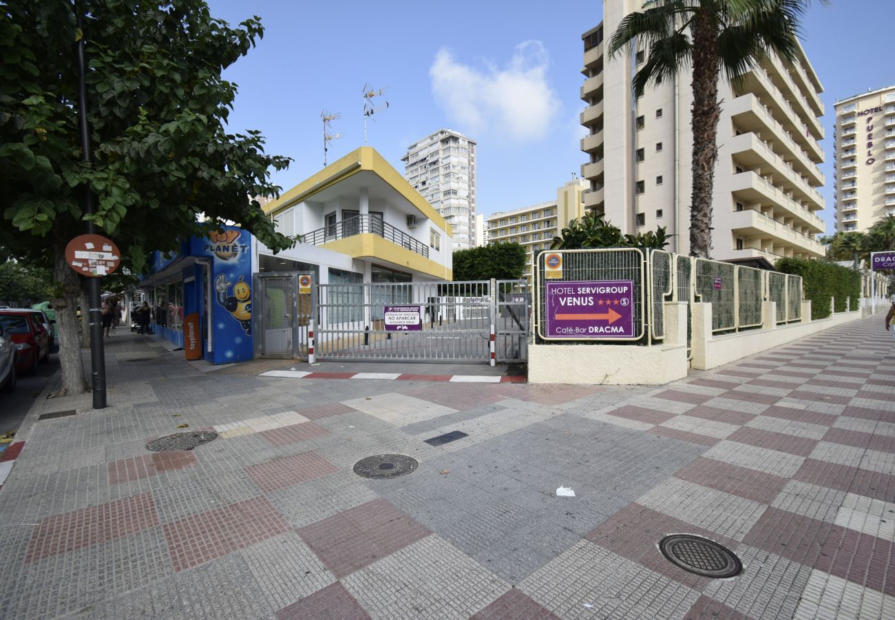 Apartment in Benidorm - COMERCIAL LEPANTO 1-15