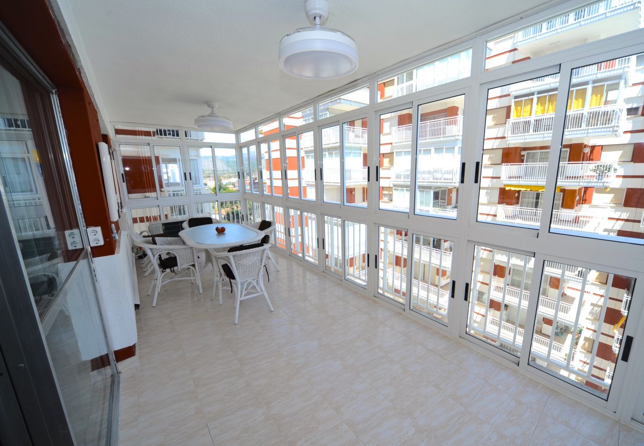 Apartment in Benicàssim - ESTORIL I-I-7-C