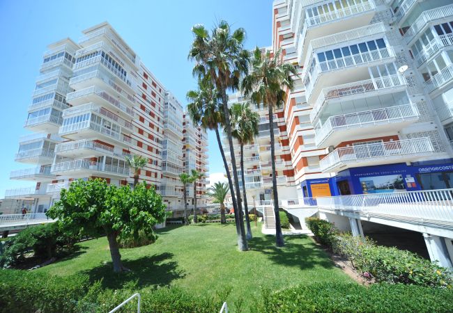  in Benicàssim - ESTORIL I-II-1-E