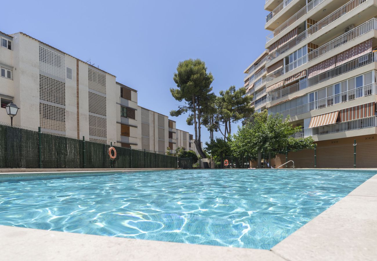 Apartment in Benicàssim - ESTORIL III-3-B